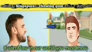 7 weird laws  in our world that you must know||தமிழ்||YP.com