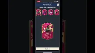 94+ Futties pp