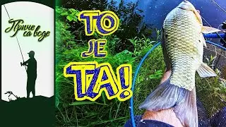 Priče sa vode ep. 251 23.07.2024. Kraljevski vikend, III deo