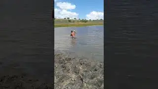 Pescaria de tarrafa 