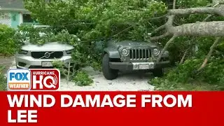 Cape Cod Seeing Localized Pockets Of Wind Damage From Lee