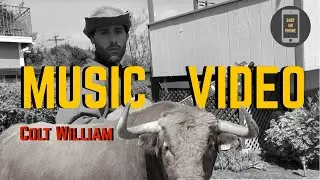 Colt William - Is that a gun in your pocket? (OFFICIAL VIDEO)