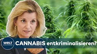 KIFFEN keine STRAFTAT mehr? Drogenbeauftragte (CSU) bei CANNABIS offen f&uuml;r 