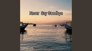 Never Say Goodbye