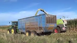 Maize Silage 2021 Part 1