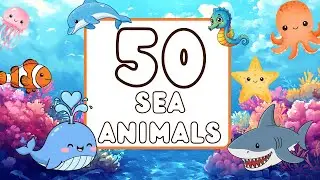 50 Sea Animals Flashcards for Kids | Learn 50 Creature Names