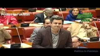 Hammad Azhar Blasting Speech in Senate on Mini Budget today | 24 January 2019