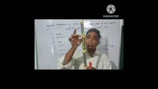 new plant formed by node  #sugar cane #node #internode #trendingshorts #viralshorts