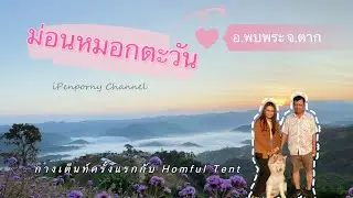 ทริปกางเต็นท์ Homful ครั้งแรก ที่ม่อนหมอกตะวัน จ.ตาก | iPenporny Channel