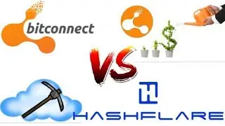 Bitconnect or Hashflare What can make you more money?
