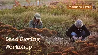 Seed Saving Workshop | Fireweed Farms Nov 2023