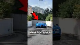 Racing Colors That Changed Car History!