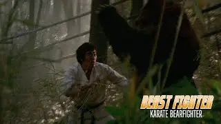 KARATE BEARFIGHTER 