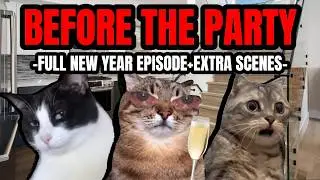 CAT MEMES: BEFORE THE PARTY | NEW YEAR ROADTRIP SPECIALS
