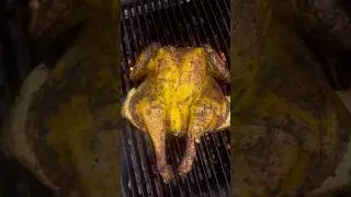 Black chicken 🐓 #food #food #chicken #black #blogger #shortsfeed #shorts #video #live