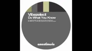 Vibezelect-Do What You Know.