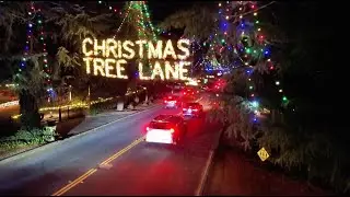 Christmas Tree Lane 2023
