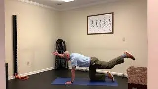 Bird Dog - Posterior Chain Core Exercise - Dr. Michael Nelson - Chiropractor in Greenville, SC