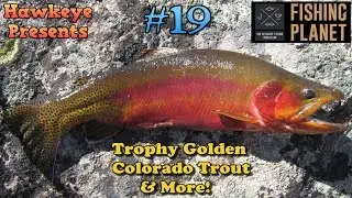 Fishing Planet S2 - Ep. #19: Trophy Golden Colorado Trout and More!
