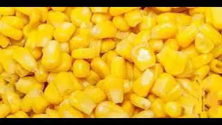 Corn grain prices latest, global prices today - 2022/2023