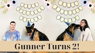 Celebrating our Dog's Birthday with our First German Shepherd Fur Baby🐶