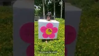Save the girl child fancy dress competition 2021