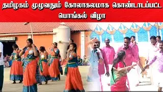 தமிழகம் முழுவதும் கோலாகலமாக கொண்டாடப்பட்ட பொங்கல் விழா