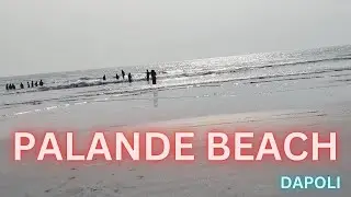 PALANDE BEACH🏖️:  DAPOLI 🥭KONKAN #explorekonkan #WANDERLUSTWORLD #HARNEBEACH #anjarle #MURUD #karde