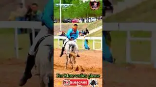 #top#three#best#horse#riders#of#world#ytshorts#youtubeshorts#shortyt#short#horse#pakistani#clips