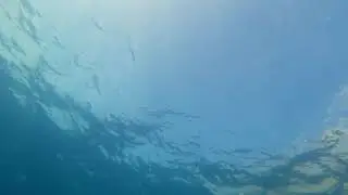 Чёрное море 🌊 101 GoPro