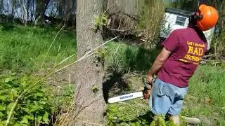 372XP Huztl/Farmertec/Holzfforma kit saw demonstration