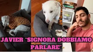 Javier parla con Emy e gli spiega che non può dormire 17 ore di fila 😅❤️