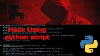 I Hired Hackers To Test My Python
