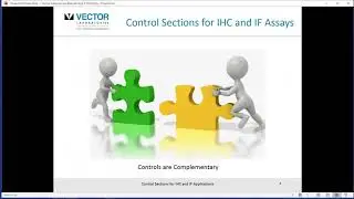 Control sections for IHC and IF applications