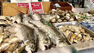 JESSIE TAYLOR SEAFOOD MARKET & OFFICINA ITALIAN RESTAURANT REVIEW @ THE WHARF DC WASHINGTON DC USA