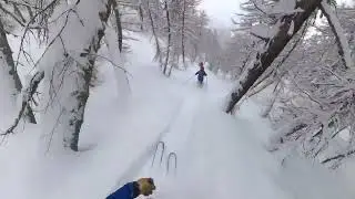 Huge fun in the forest! | Monte Estelletta | Skitour Valle Maira