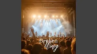 Broken Wings