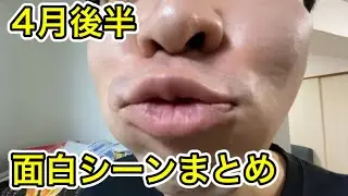 【4月後半】カシコch面白シーンまとめ