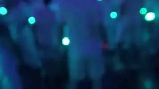 sensation into the wild 2014
