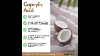 Caprylic Acid: Benefits for Gut Health, Candida, and Immunity #shorts