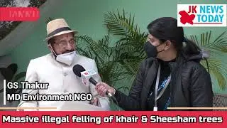 Massive illegal felling of khair & Sheesham trees | JKNT Special