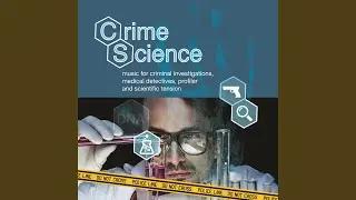 Cyber Detective