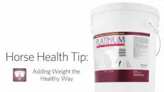Equine Health Tip, Adding Weight the Healthy Way