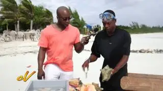 Conch Pistol (Turks & Caicos)