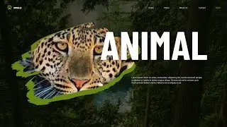 Monkey, Tiger & Cat | Wild Animal WorldFunny Monkey, Angry Tiger & Cute Cat🦁🐈