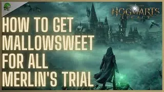 Hogwarts Legacy How to get Mallowsweet for all Merlin's Trial