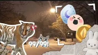 - 99 Moedas & Ovos da lua ‼️ | NaitWilder