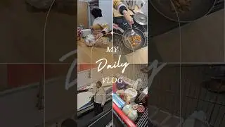 Mini Daily Vlog / Grocery Shopping Haul #pvmuk