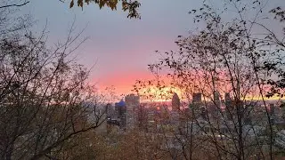Montreal Mont Royal Virtual Run Scenery Early Morning Sunrise