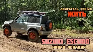 SUZUKI ESCUDO (конец «двиглу»???) ПОЕЗДКА С ДРУЗЬЯМИ